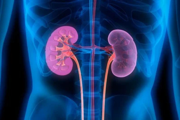 PG DIPLOMA IN NEPHROLOGY