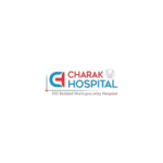 logo11